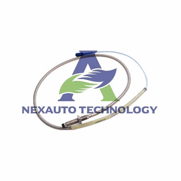 Bently Nevada | 330102-24-48-05-01-RU Probe
