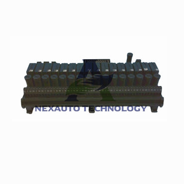 IC200CHS111 GE Fanuc Terminali di I/O Interpositori in Stile Relè